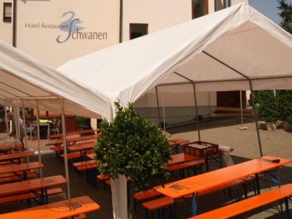照片: Schwanen